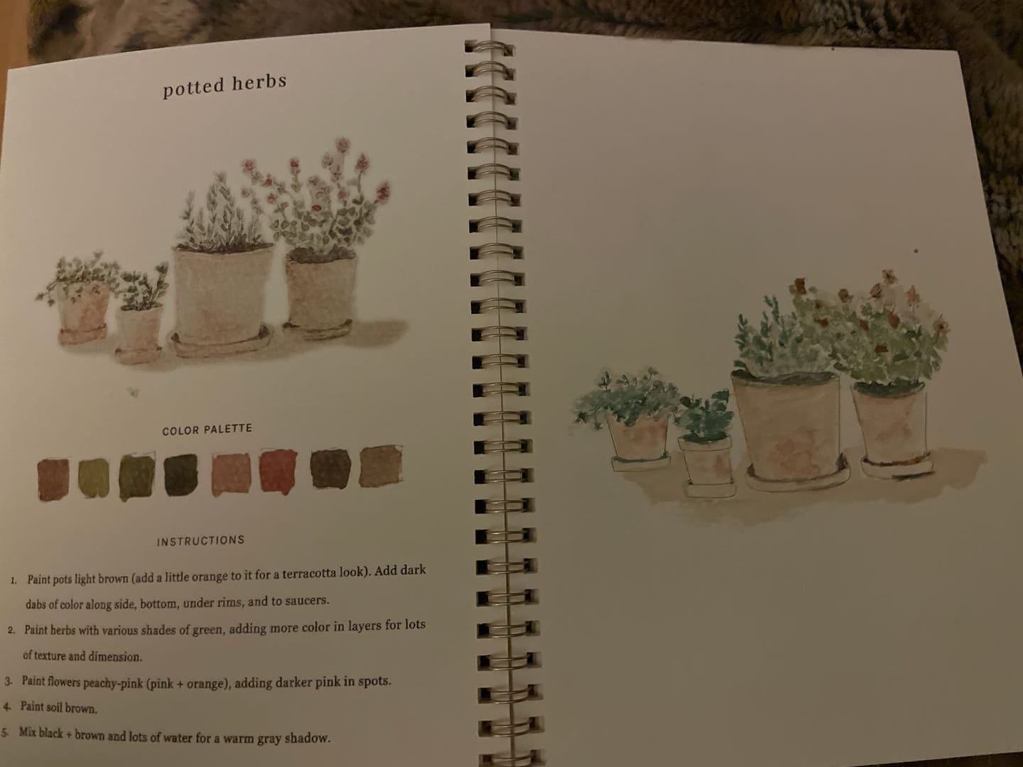Review by Carol A.